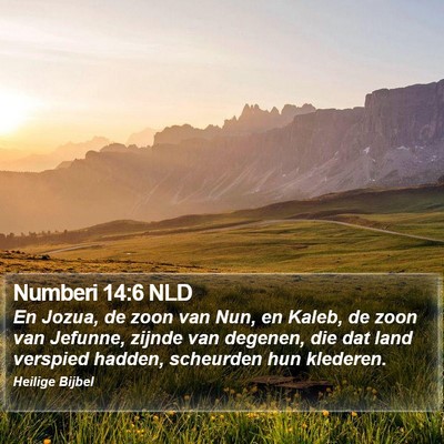 Numberi 14:6 NLD Bible Verse Image