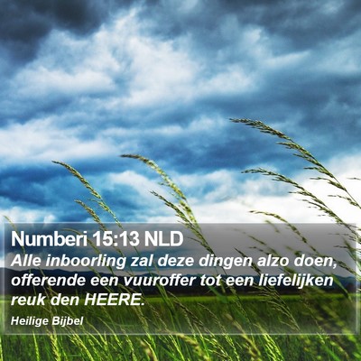 Numberi 15:13 NLD Bible Verse Image