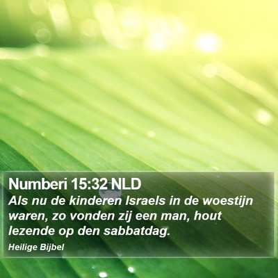 Numberi 15:32 NLD Bible Verse Image