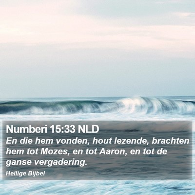 Numberi 15:33 NLD Bible Verse Image