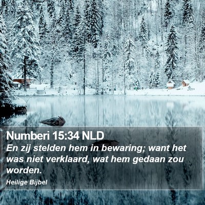 Numberi 15:34 NLD Bible Verse Image
