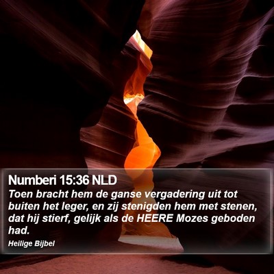 Numberi 15:36 NLD Bible Verse Image