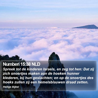 Numberi 15:38 NLD Bible Verse Image