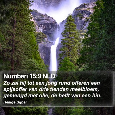 Numberi 15:9 NLD Bible Verse Image