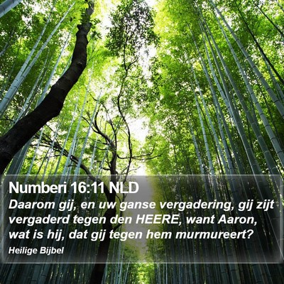 Numberi 16:11 NLD Bible Verse Image