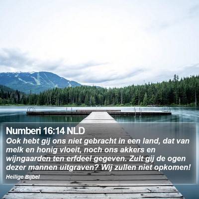 Numberi 16:14 NLD Bible Verse Image