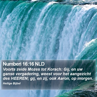 Numberi 16:16 NLD Bible Verse Image
