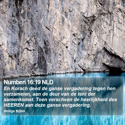 Numberi 16:19 NLD Bible Verse Image