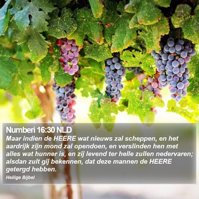 Numberi 16:30 NLD Bible Verse Image
