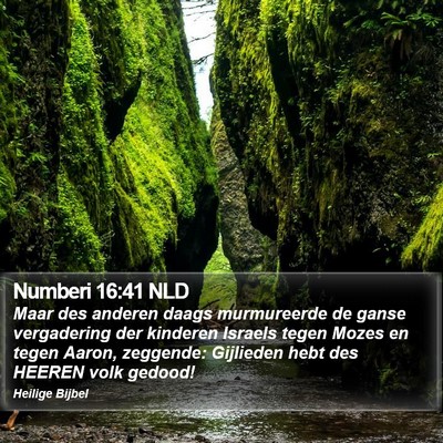 Numberi 16:41 NLD Bible Verse Image