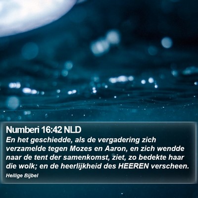 Numberi 16:42 NLD Bible Verse Image