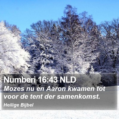 Numberi 16:43 NLD Bible Verse Image