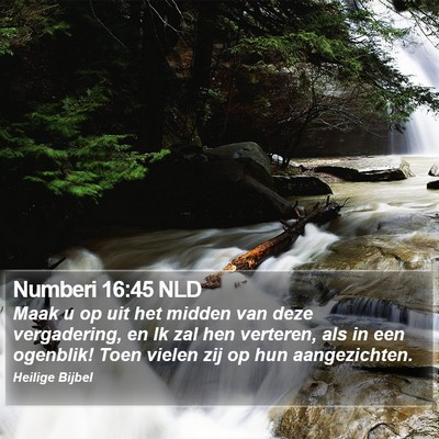 Numberi 16:45 NLD Bible Verse Image