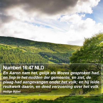 Numberi 16:47 NLD Bible Verse Image