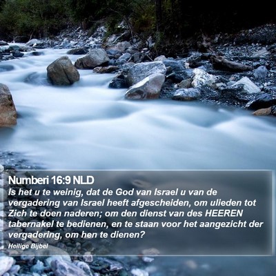 Numberi 16:9 NLD Bible Verse Image