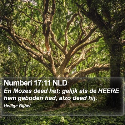 Numberi 17:11 NLD Bible Verse Image