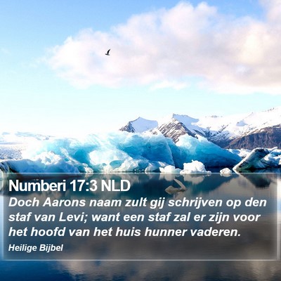 Numberi 17:3 NLD Bible Verse Image