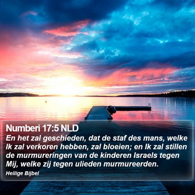 Numberi 17:5 NLD Bible Verse Image