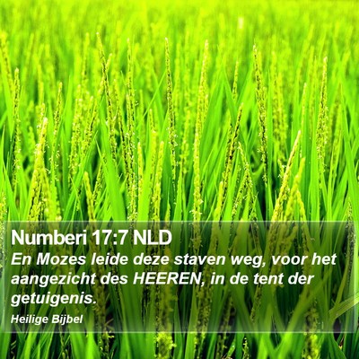 Numberi 17:7 NLD Bible Verse Image