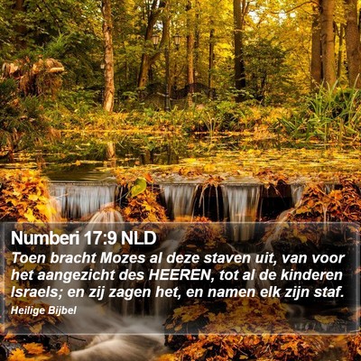 Numberi 17:9 NLD Bible Verse Image