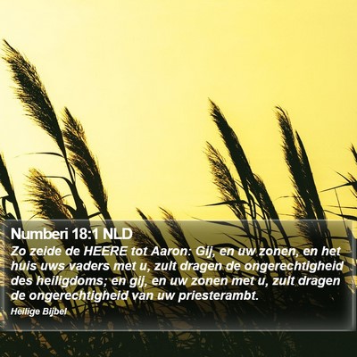 Numberi 18:1 NLD Bible Verse Image