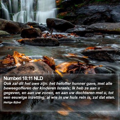 Numberi 18:11 NLD Bible Verse Image