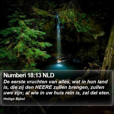 Numberi 18:13 NLD Bible Verse Image