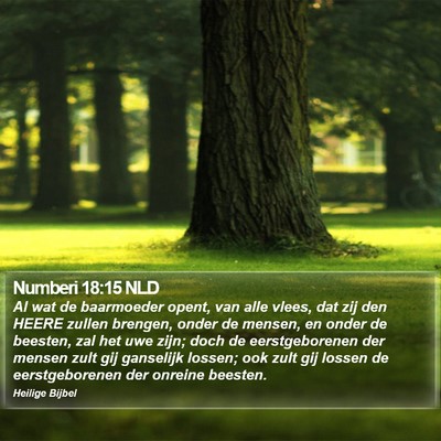 Numberi 18:15 NLD Bible Verse Image