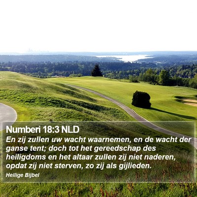 Numberi 18:3 NLD Bible Verse Image