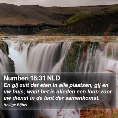 Numberi 18:31 NLD Bible Verse Image
