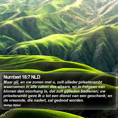 Numberi 18:7 NLD Bible Verse Image