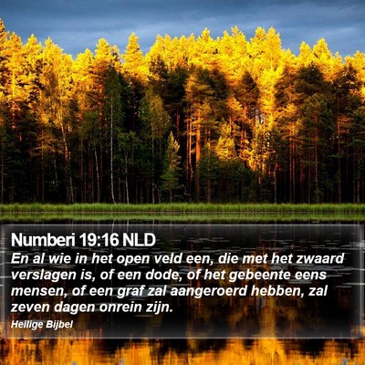 Numberi 19:16 NLD Bible Verse Image