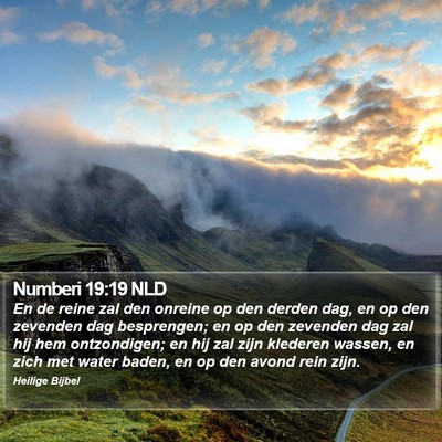 Numberi 19:19 NLD Bible Verse Image
