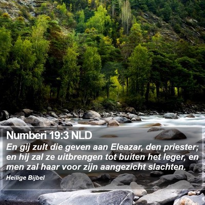 Numberi 19:3 NLD Bible Verse Image