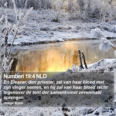 Numberi 19:4 NLD Bible Verse Image