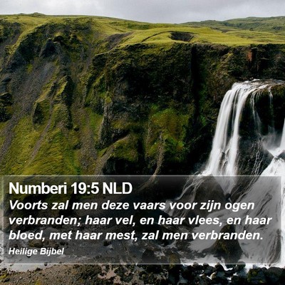Numberi 19:5 NLD Bible Verse Image