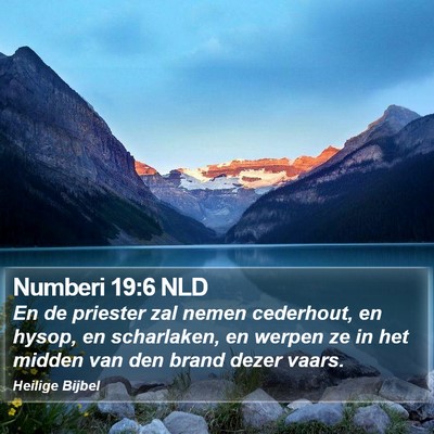Numberi 19:6 NLD Bible Verse Image
