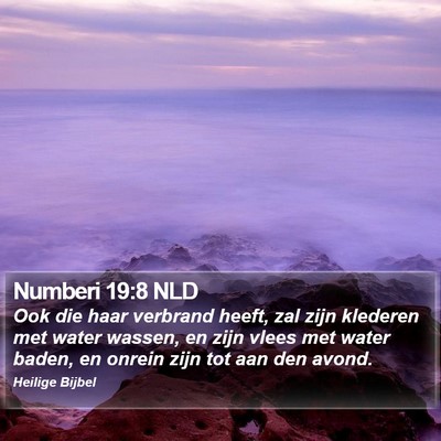 Numberi 19:8 NLD Bible Verse Image