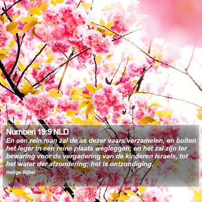 Numberi 19:9 NLD Bible Verse Image