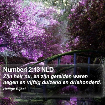 Numberi 2:13 NLD Bible Verse Image
