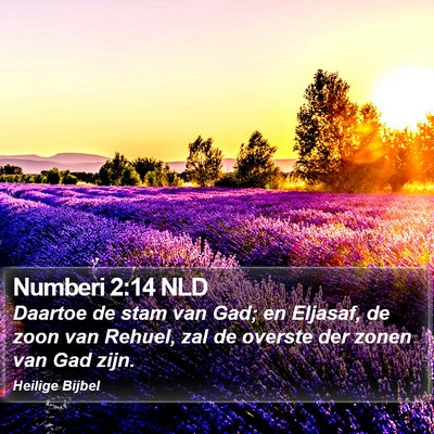 Numberi 2:14 NLD Bible Verse Image