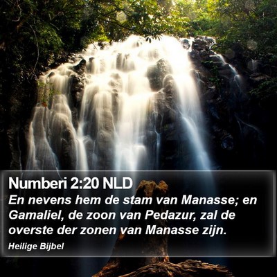 Numberi 2:20 NLD Bible Verse Image