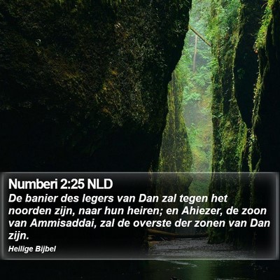 Numberi 2:25 NLD Bible Verse Image