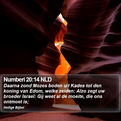 Numberi 20:14 NLD Bible Verse Image