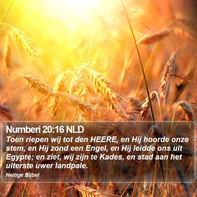 Numberi 20:16 NLD Bible Verse Image