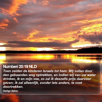 Numberi 20:19 NLD Bible Verse Image