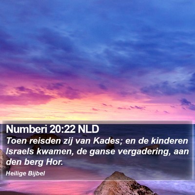 Numberi 20:22 NLD Bible Verse Image
