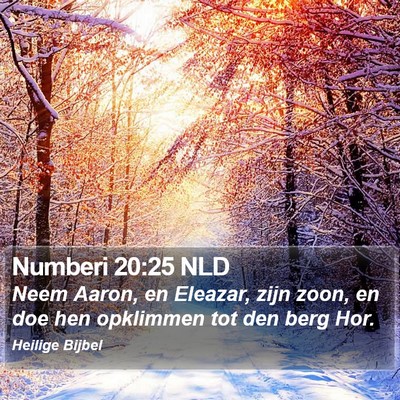 Numberi 20:25 NLD Bible Verse Image