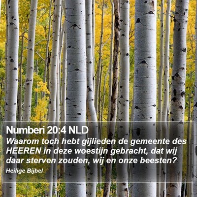 Numberi 20:4 NLD Bible Verse Image