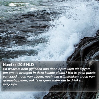 Numberi 20:5 NLD Bible Verse Image
